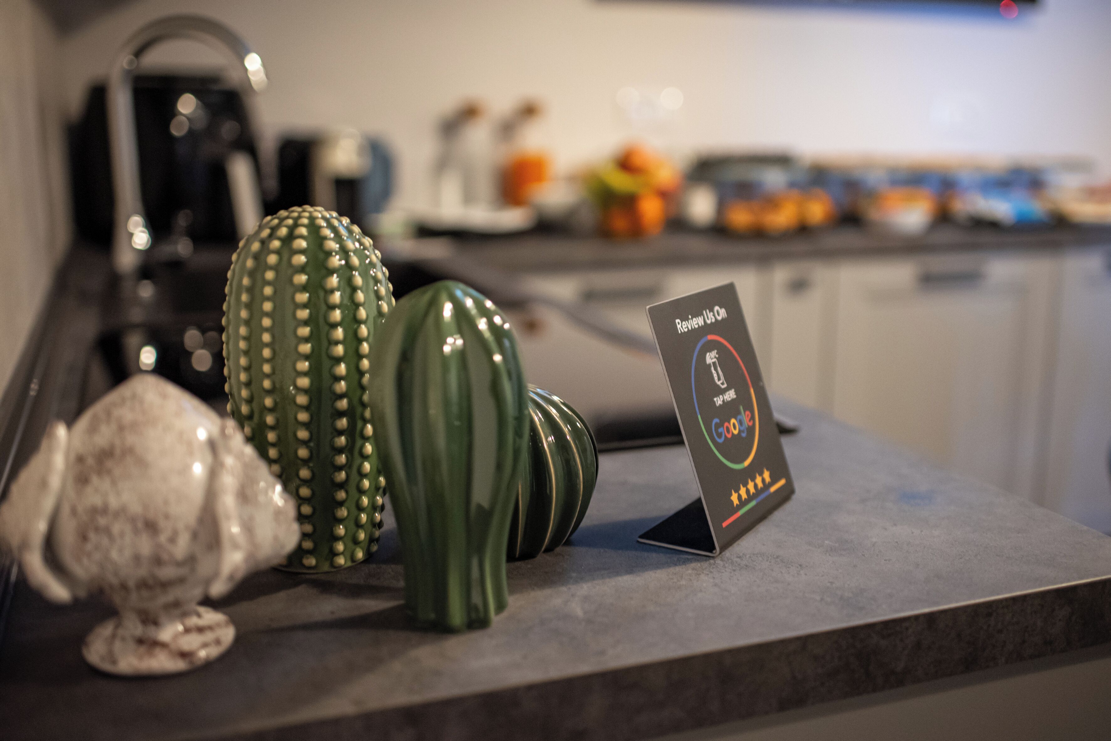 A kitchen counter with a cactus, a ceramic elephant, and a sign that reads "Review Us On Google".