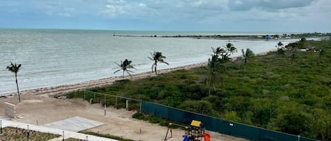 A beach view with a pool, palm trees, and a playground.