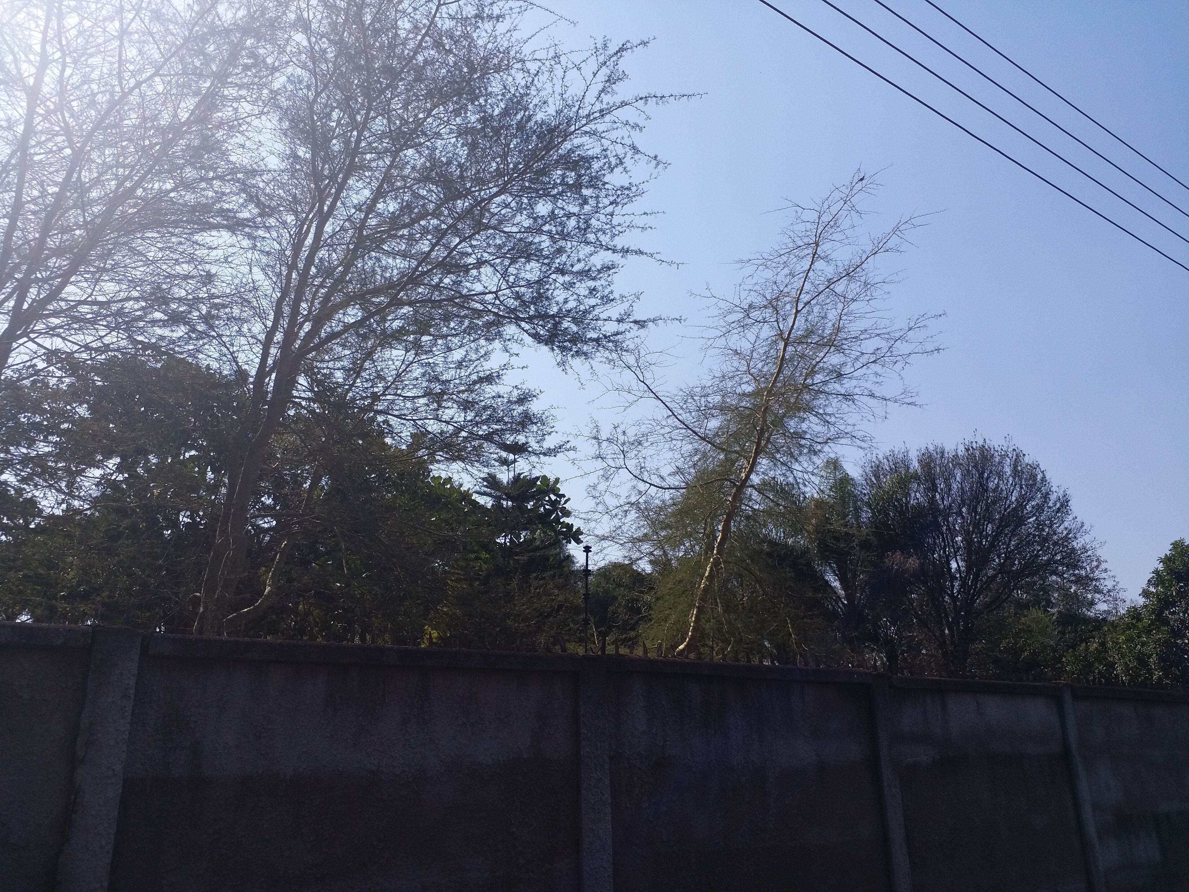 บริเวณภายนอก