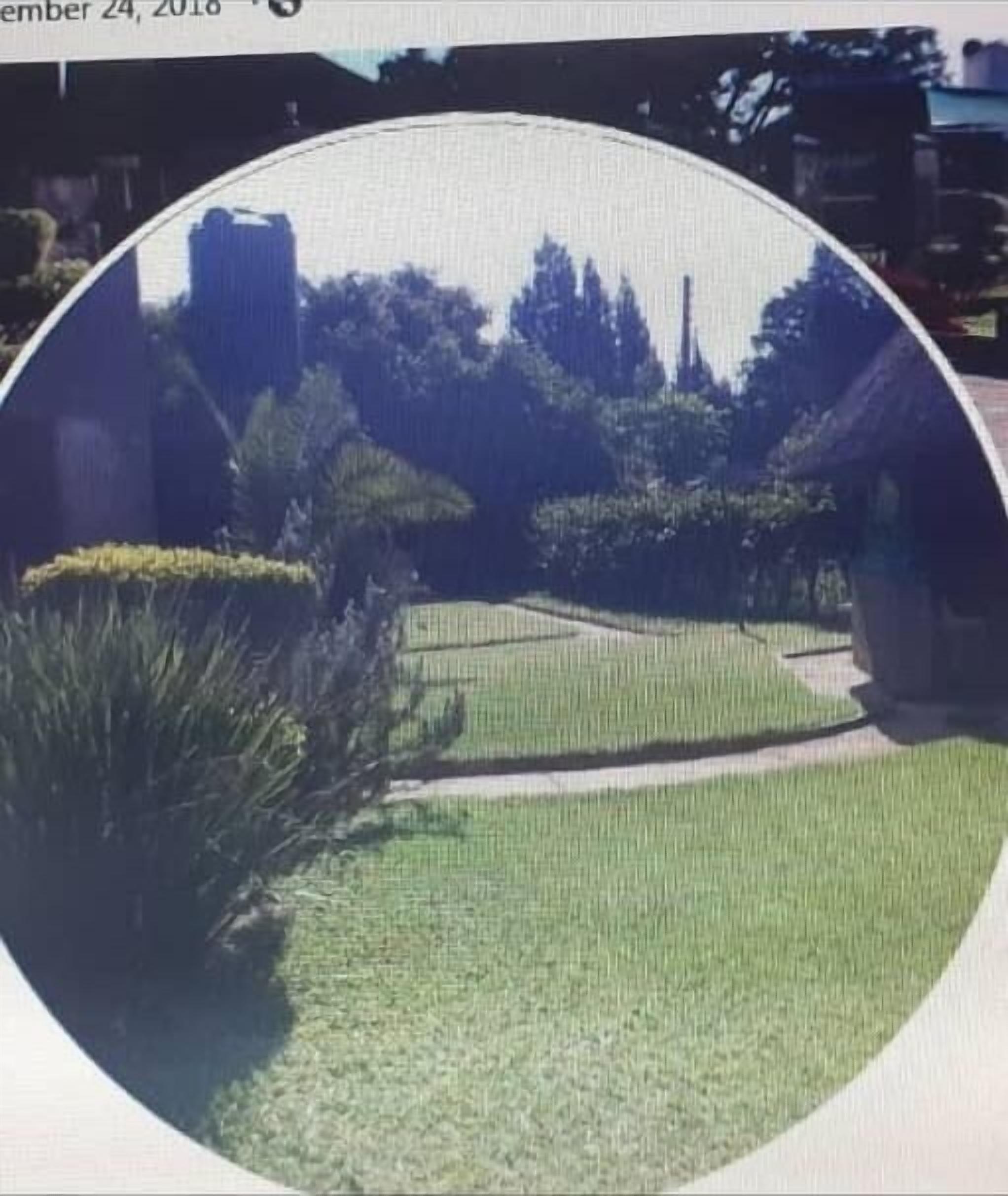 A circular view of a garden with pathways, trees, and a building in the background.