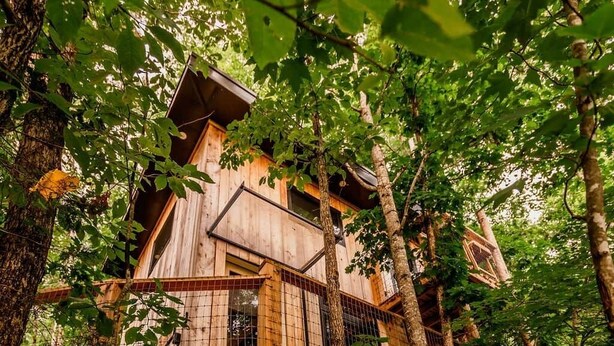 Eine Holzhütte inmitten von Bäumen mit einem Balkon und einem großen Fenster.