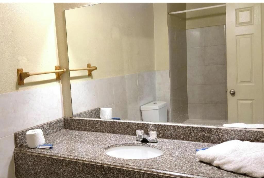 Habitación, 1 cama Queen size, para no fumadores | Baño | Regadera, amenidades de baño gratuitas, toallas, papel de baño 