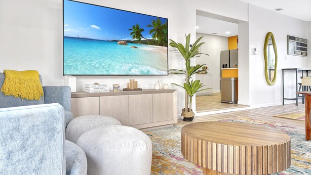 Un salon moderne avec une grande télévision, un canapé, une table basse et une plante en pot.
