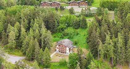 Chalet de l'Ours AUTHENTIC Appart. Chambésy 6 pers