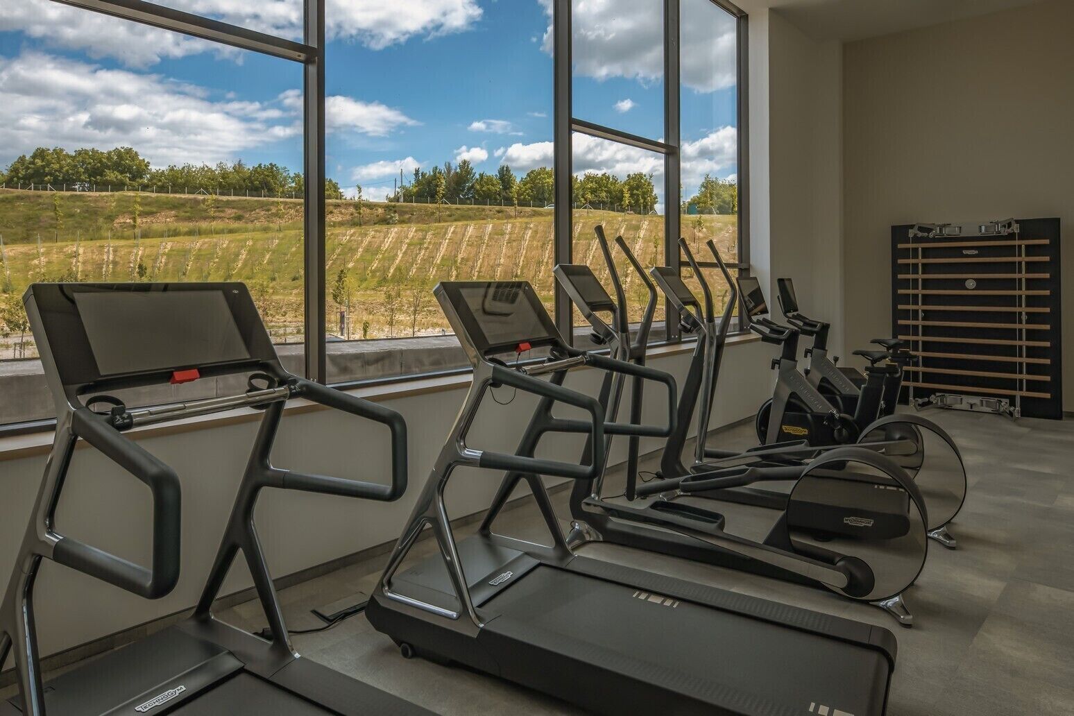 Ein Fitnessstudio mit mehreren Laufbändern und Trainingsgeräten, große Fenster mit Blick auf eine Wiese.