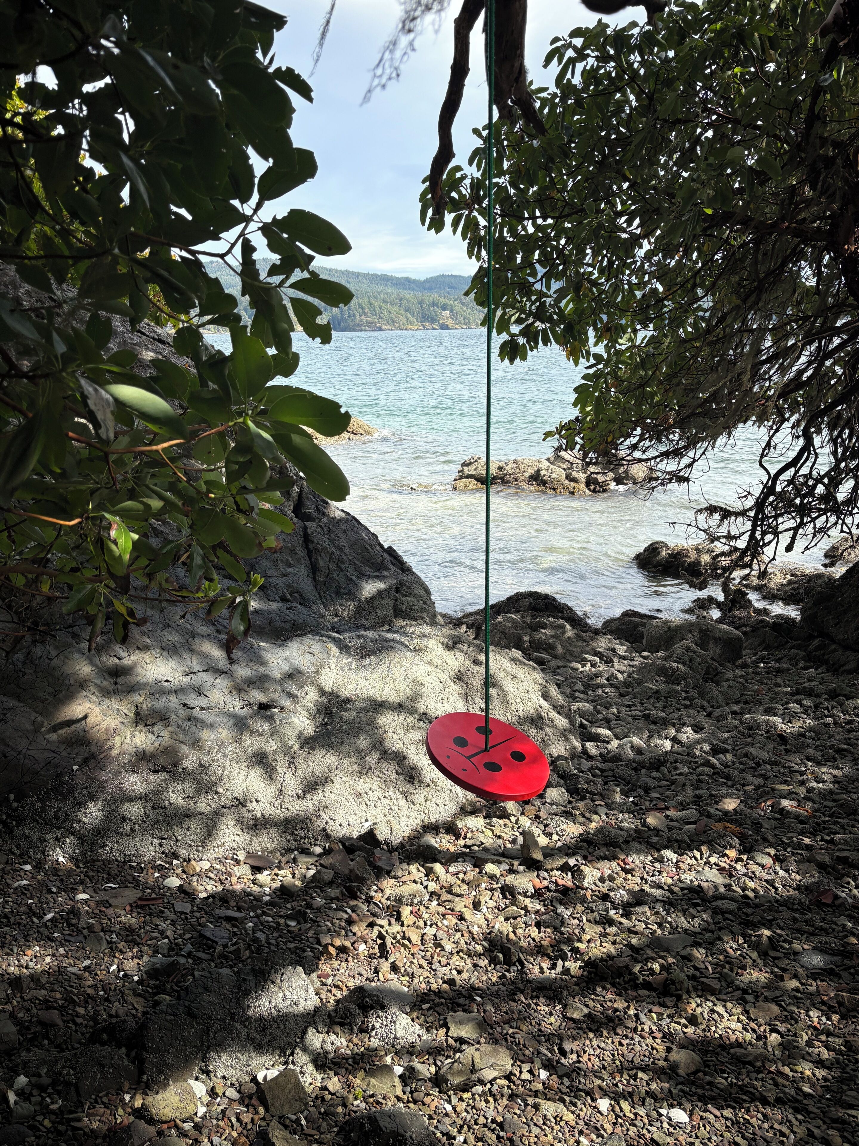 A red circular object hanging from a tree branch, surrounded by rocky terrain and a body of water.