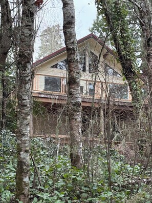 Exterior - Cozy, secluded 3 bedroom with working space loft. Where the sea and forest meet (Sooke)