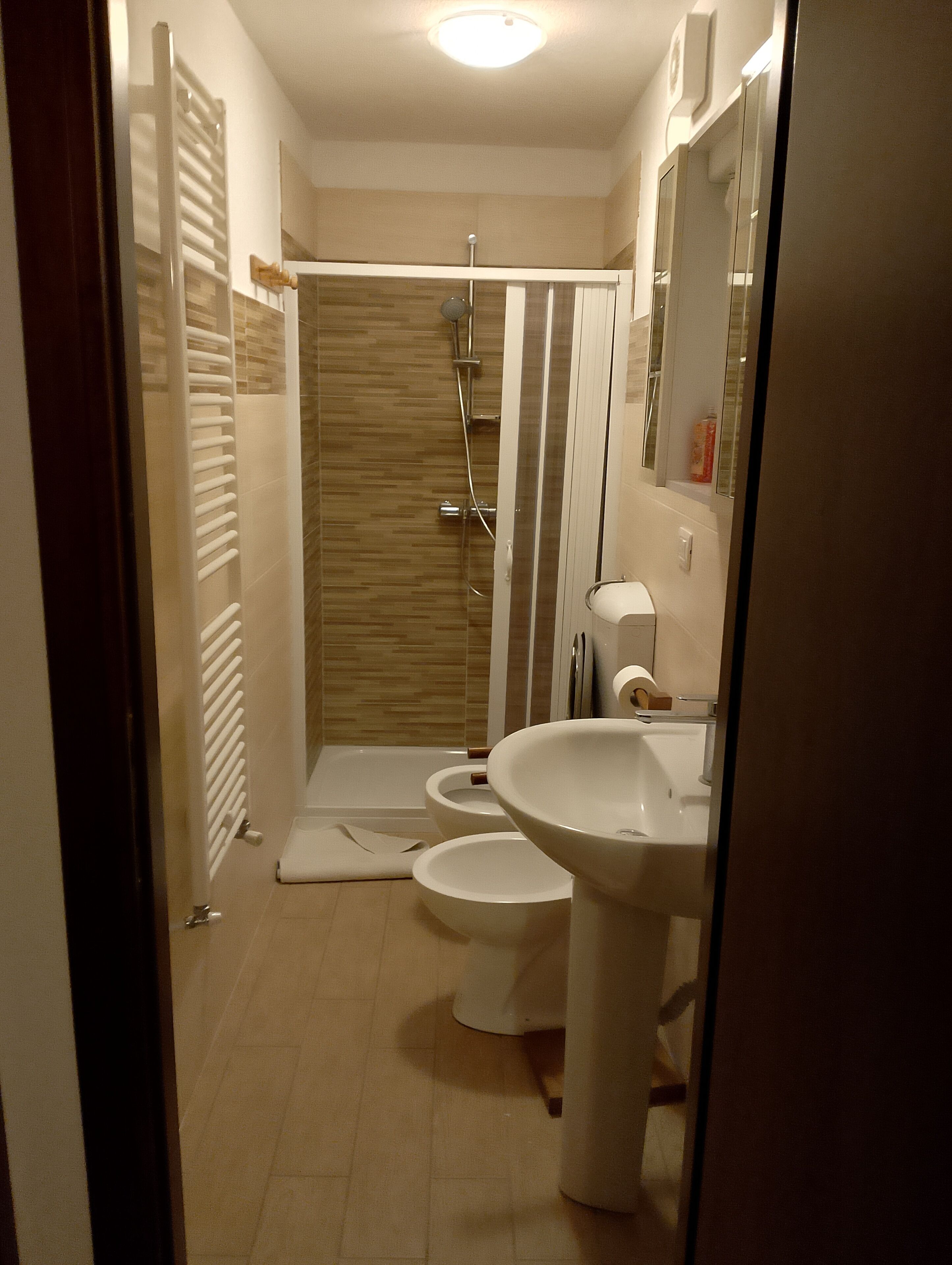 Haartrockner, Handtücher, Seife, Toilettenpapier