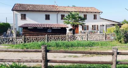 The vineyards apartments