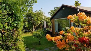 Una casa moderna con puerta de cristal, rodeada de un jardín exuberante con diversas plantas y flores.