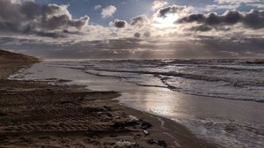 Una playa con olas, una orilla arenosa y un cielo nublado.