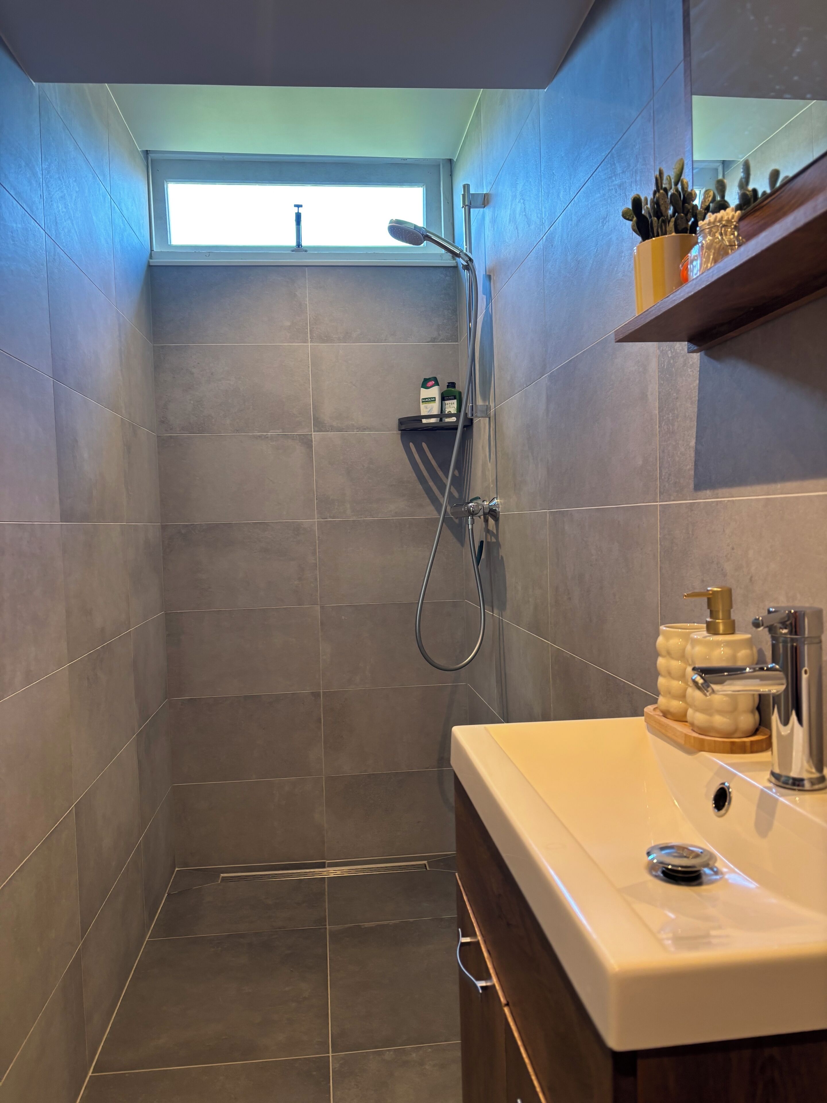 Shower, shampoo, toilet paper