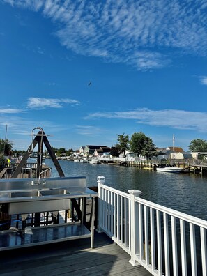 Property grounds - Charmingly decorated , beautiful lagoon front beach house in Little Egg Harbor (Little Egg Harbor Township)