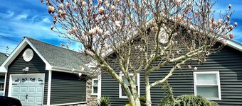 Charmingly decorated , beautiful lagoon front beach house in Little Egg Harbor