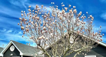 Charmingly decorated , beautiful lagoon front beach house in Little Egg Harbor