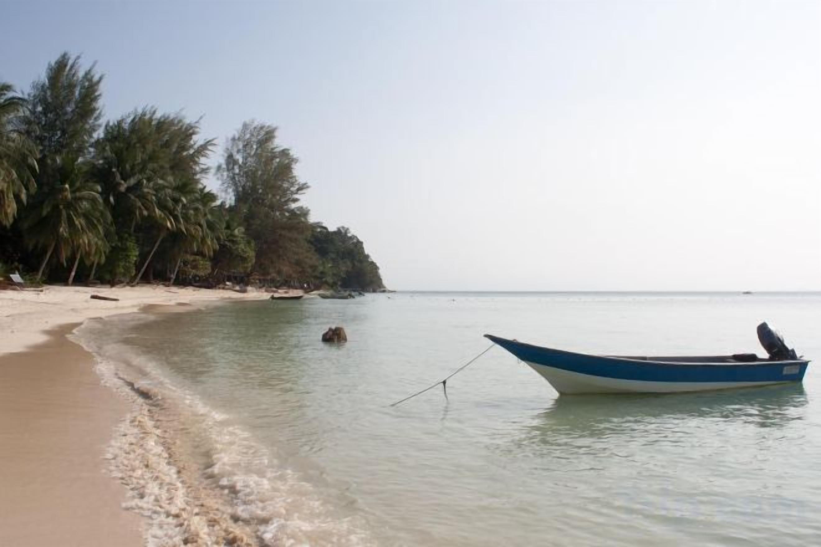 A beach with a boat, calm water, and palm trees.