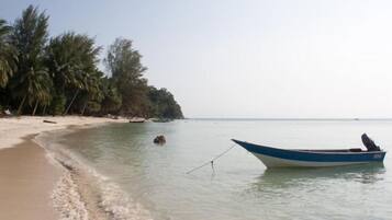 A beach with a boat, calm water, and palm trees.