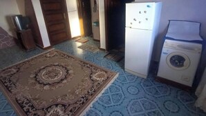 Ein Zimmer mit einem gemusterten Teppich, einem Kühlschrank, einer Waschmaschine und einer Tür zu einem anderen Raum.