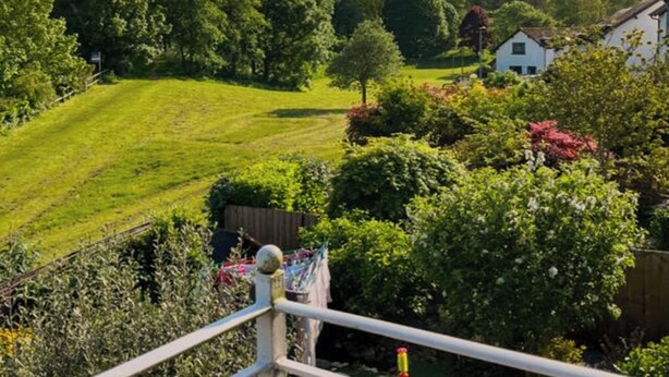Un quartier résidentiel avec une colline herbeuse, des arbres et des maisons.