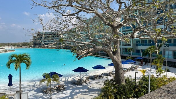 Una piscina grande y cristalina de color azul, rodeada de sillas de descanso y sombrillas, con una palmera en primer plano y un edificio al fondo.