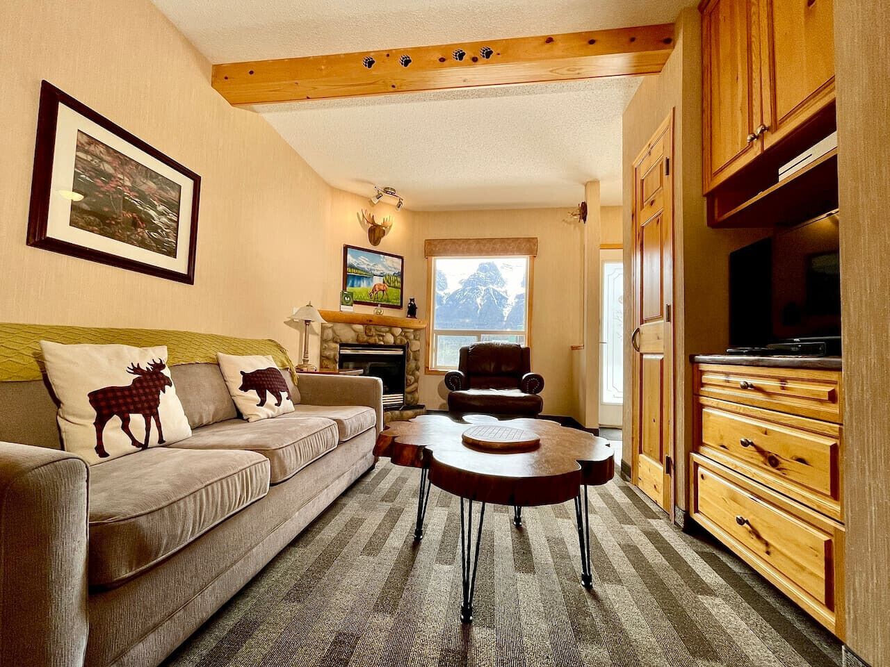 Smart TV, fireplace, video games, books