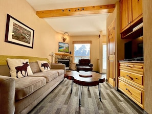 TV connectée, cheminée, jeux vidéo, livres