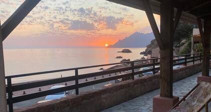 Appartement face Ă  la mer avec terrasse unique