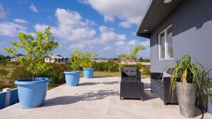 A patio with outdoor furniture, large potted plants, and a view of a house in the background.