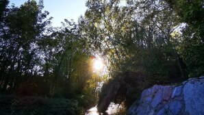 A narrow waterway flanked by dense foliage and a rocky outcrop. - Le Manoir de la Belle Endormie (Valréas)