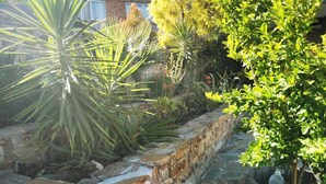 Un sendero de piedra flanqueado por un bajo muro de piedra, que lleva a un jardín con diversas plantas y un árbol.