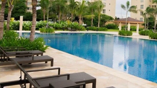A swimming pool with lounge chairs and palm trees.