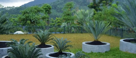 Jardín ajardinado con diversas plantas en macetas y un paisaje montañoso de fondo.