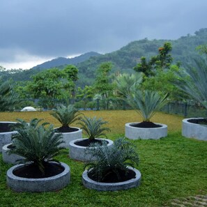 A landscaped garden with various potted plants and a backdrop of a hilly landscape.
