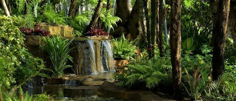 A lush garden with a small waterfall, dense foliage, and a variety of plants.