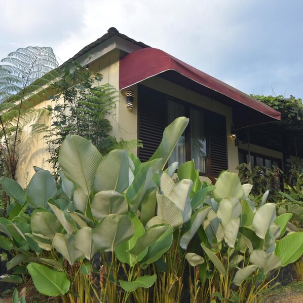 A modern house with a red roof, surrounded by lush greenery and large leaves.
