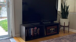 A living room with a flat-screen TV on a black stand, a bookshelf with books, a potted plant, and a patterned rug. - Lovely house with WiFi in charming Alameda (Alameda)