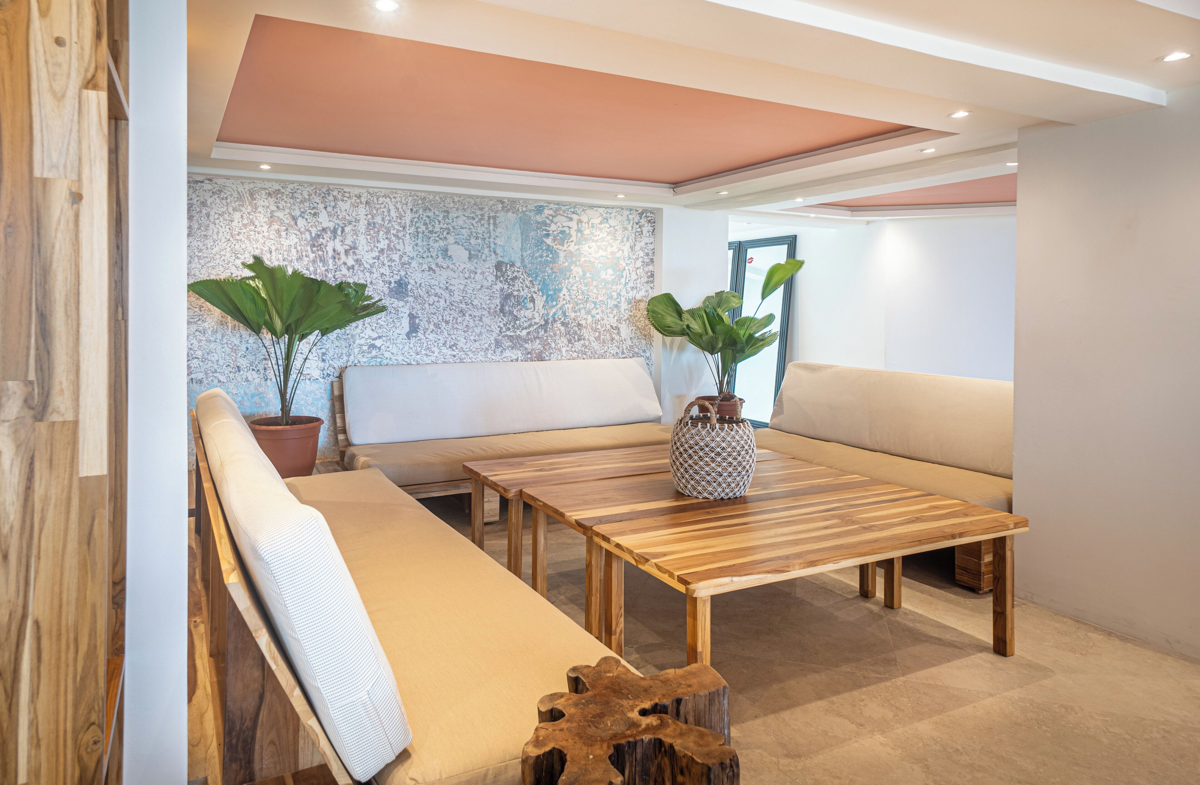A modern interior with a wooden bench, a cushioned sofa, a coffee table, and two potted plants.