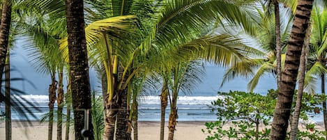 Habitación Premium, vista al océano | Vista a la playa o el mar