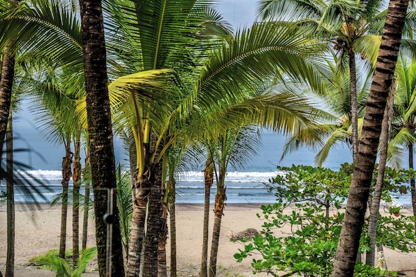 Premium Room, Ocean View | Beach/ocean view
