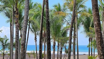 Quarto luxo, sacada, vista para o oceano | Vista para praia/oceano