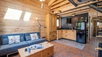 Televisión, chimenea y libros