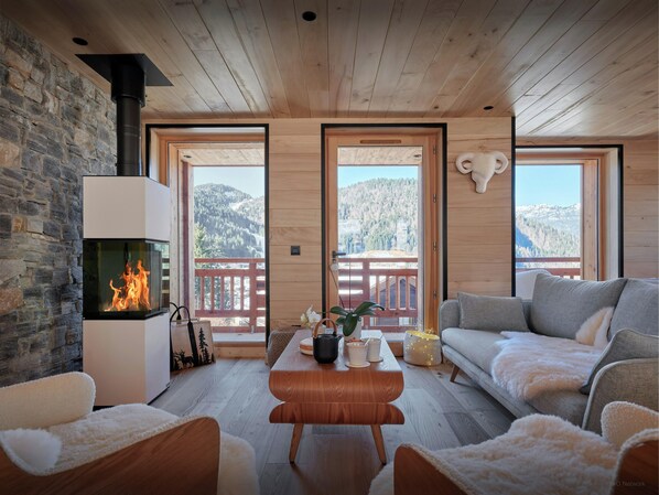 TV, fireplace, stereo