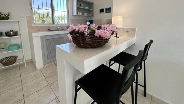 Apartment, 1 Bedroom, Balcony, City View | Dining room