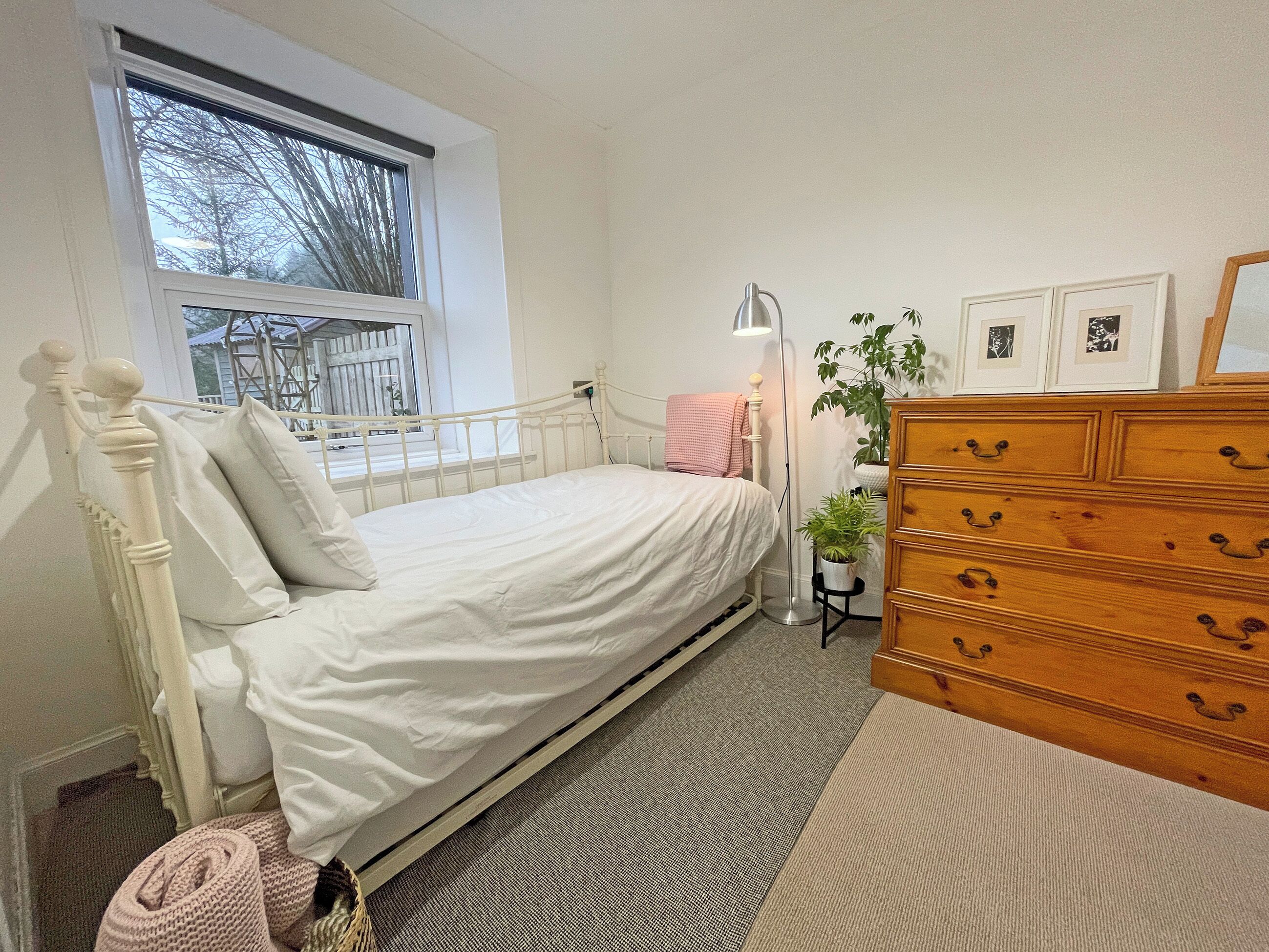 A bedroom with a single bed, a dresser, a floor lamp, a potted plant, and framed pictures on the wall.