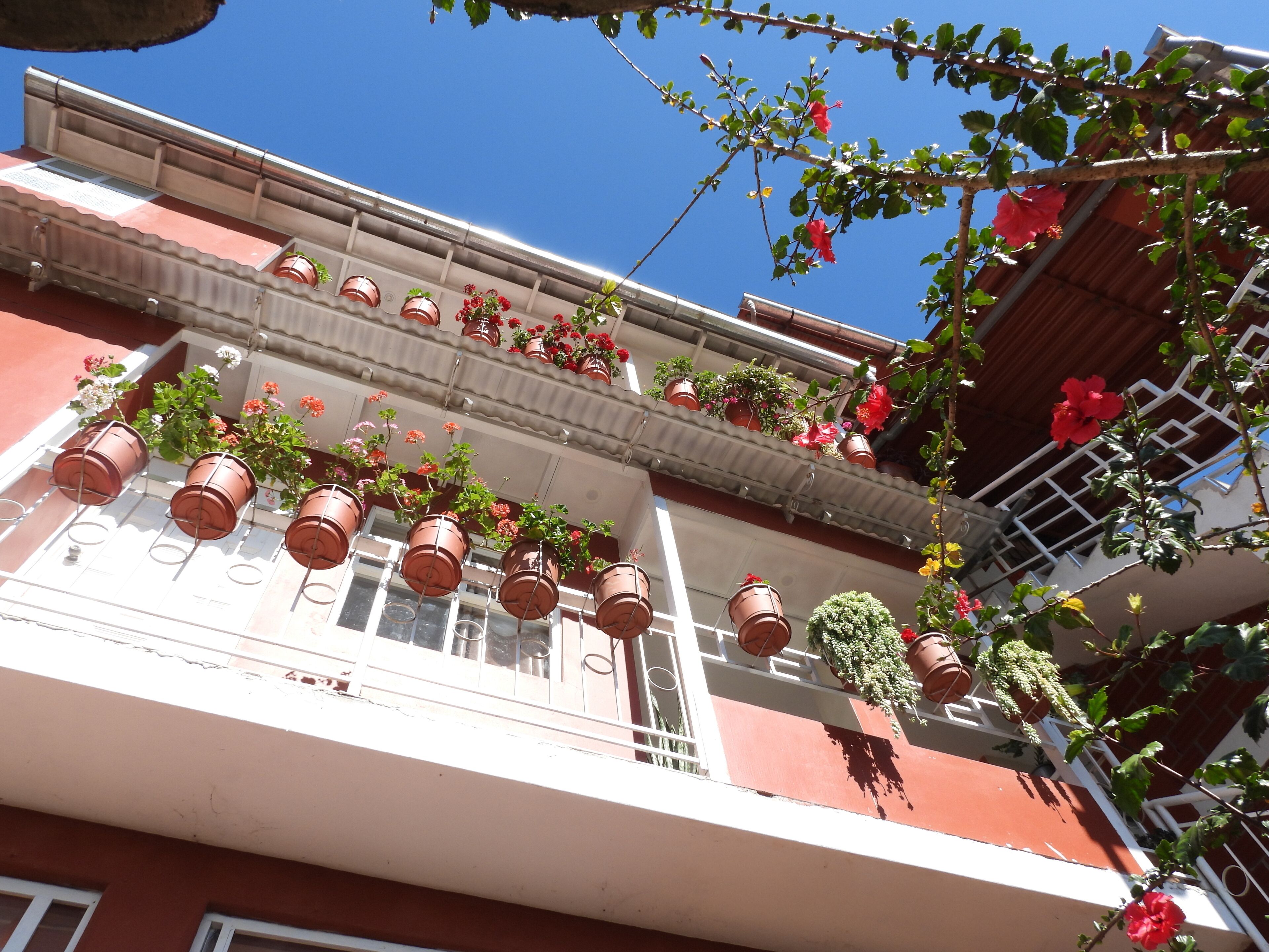 Photo - Kuelap Guest House