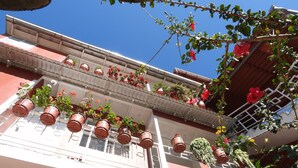 A building with multiple balconies adorned with potted plants and flowers.