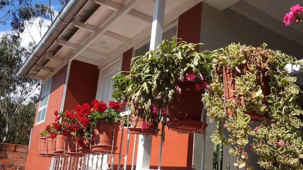 A building with a red and white facade, multiple flower pots on the balcony, and a metal railing.