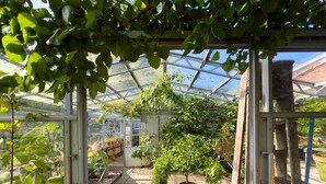 Een kas met glazen dak, verschillende planten in potten, en een bankje.