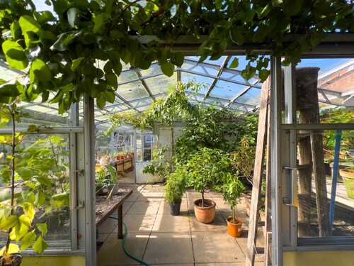 Bank House Longtown -  a cottage that sleeps 30 guests  in 15 bedrooms