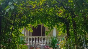 A covered garden area with potted plants and a building in the background. - Sanduhan Villa, Stay in Sri Lanka! (Warakapola)